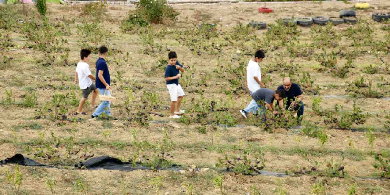 3 yil once yetistirmeye basladi mide rahatsizligina care oldu urvWsYPF