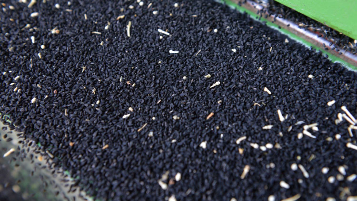 olumden baska her seye deva corek otu 48lavHcs