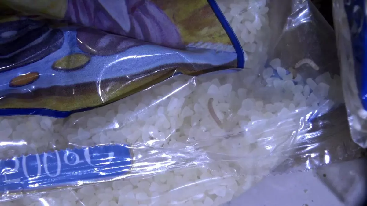 sanliurfada market denetimlerinde sagliga tehdit olusturan urunler ele gecirildi 6XxWYy93