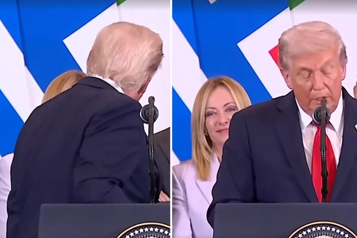 trumptan meloniye senin guzel oldugunu soylememe alinmazsin degil mi le3sQ9PK.jpg