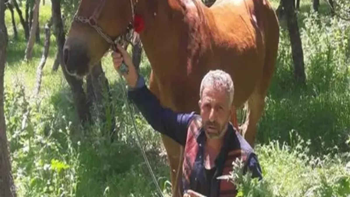 diyarbakirda babasini olduren saniga 15 yil verildi ZbNfTDti.jpg