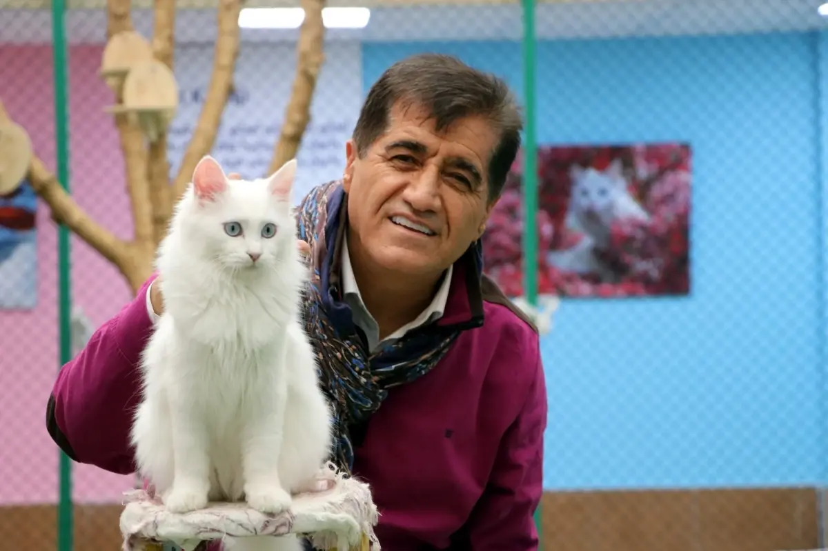 sanatci aydin aydin nesli tukenmekte olan van kedisiyle duet yapti tlTzb6fn.jpg